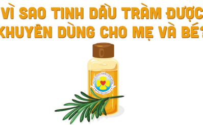 Vì sao tinh dầu tràm được khuyên dùng cho mẹ và bé?
